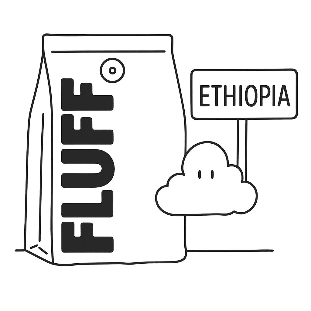 Ethiopia coffee beans